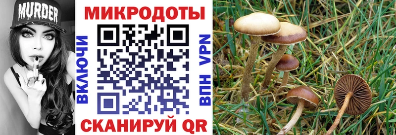 Псилоцибиновые грибы Cubensis  MEGA зеркало  Киржач  даркнет сайт 