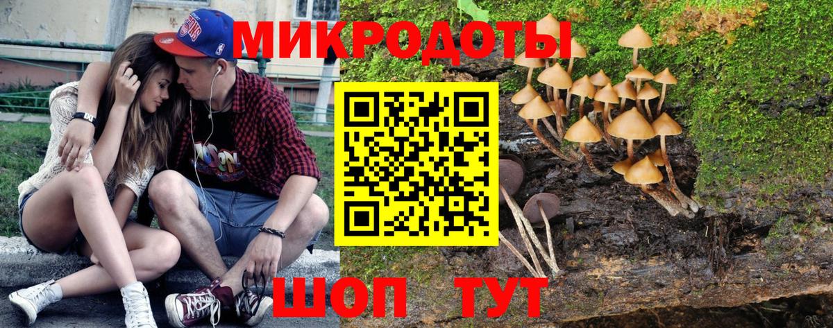 Галлюциногенные грибы Cubensis Киржач
