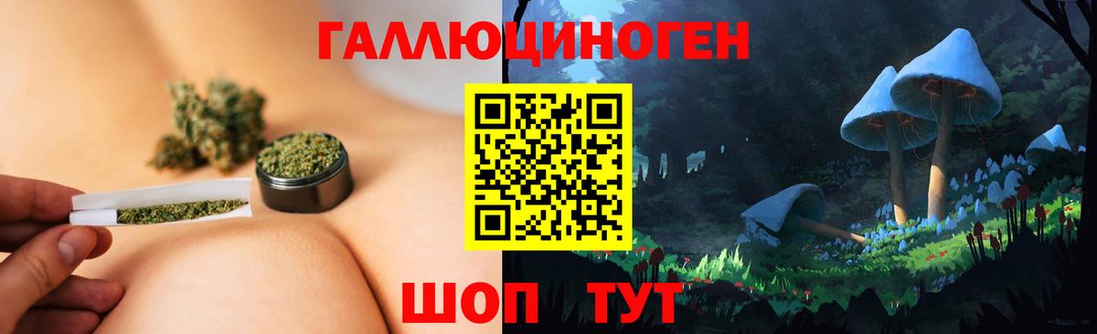 Галлюциногенные грибы MAGIC MUSHROOMS  Вход с VPN  Киржач  Псилоцибиновые грибы мицелий 
